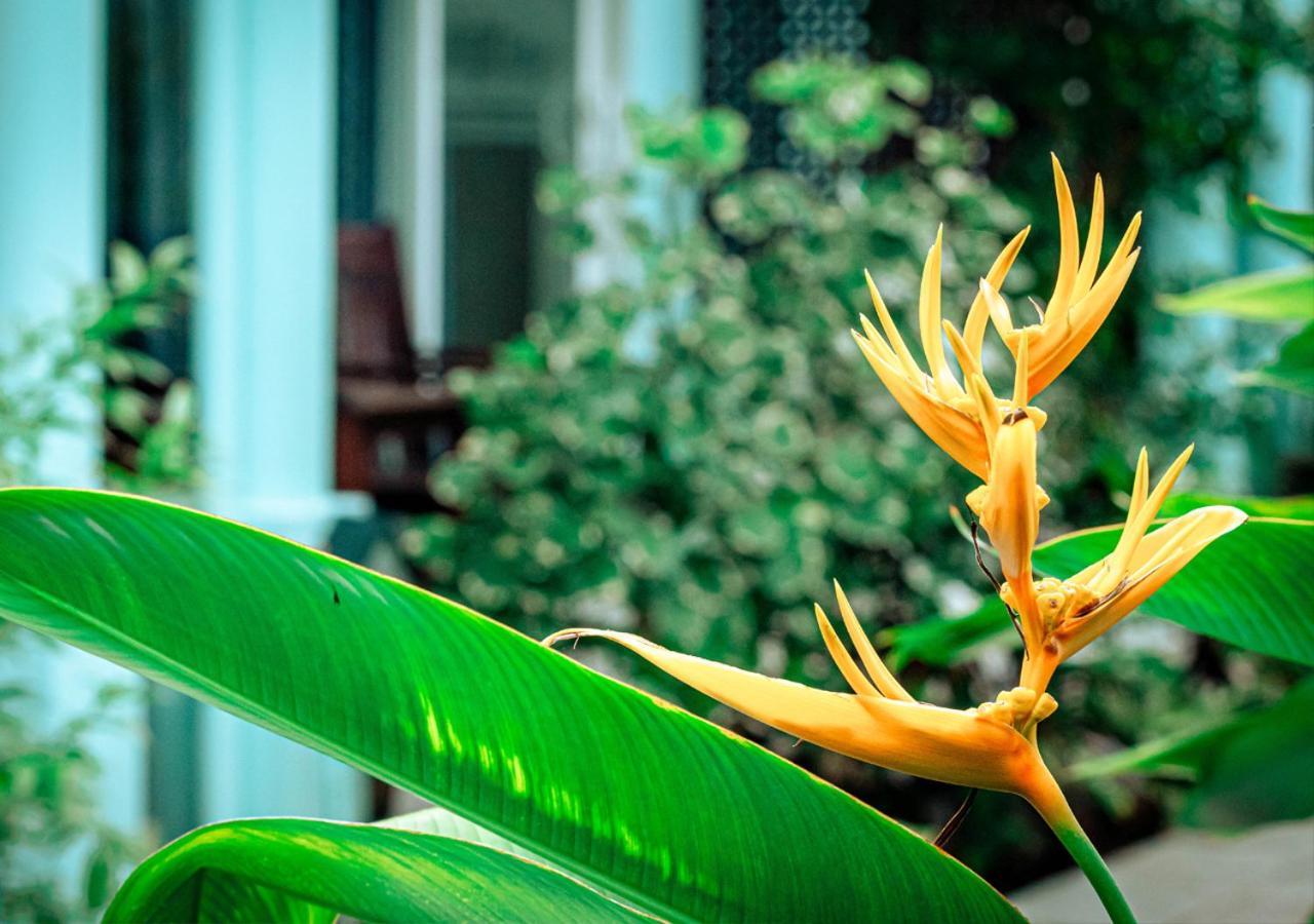 Sunlight Bungalow Phu Quoc Buitenkant foto